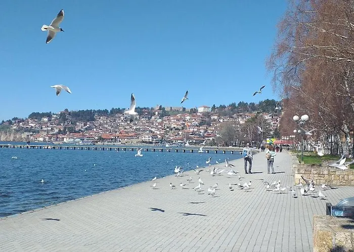 Kibar